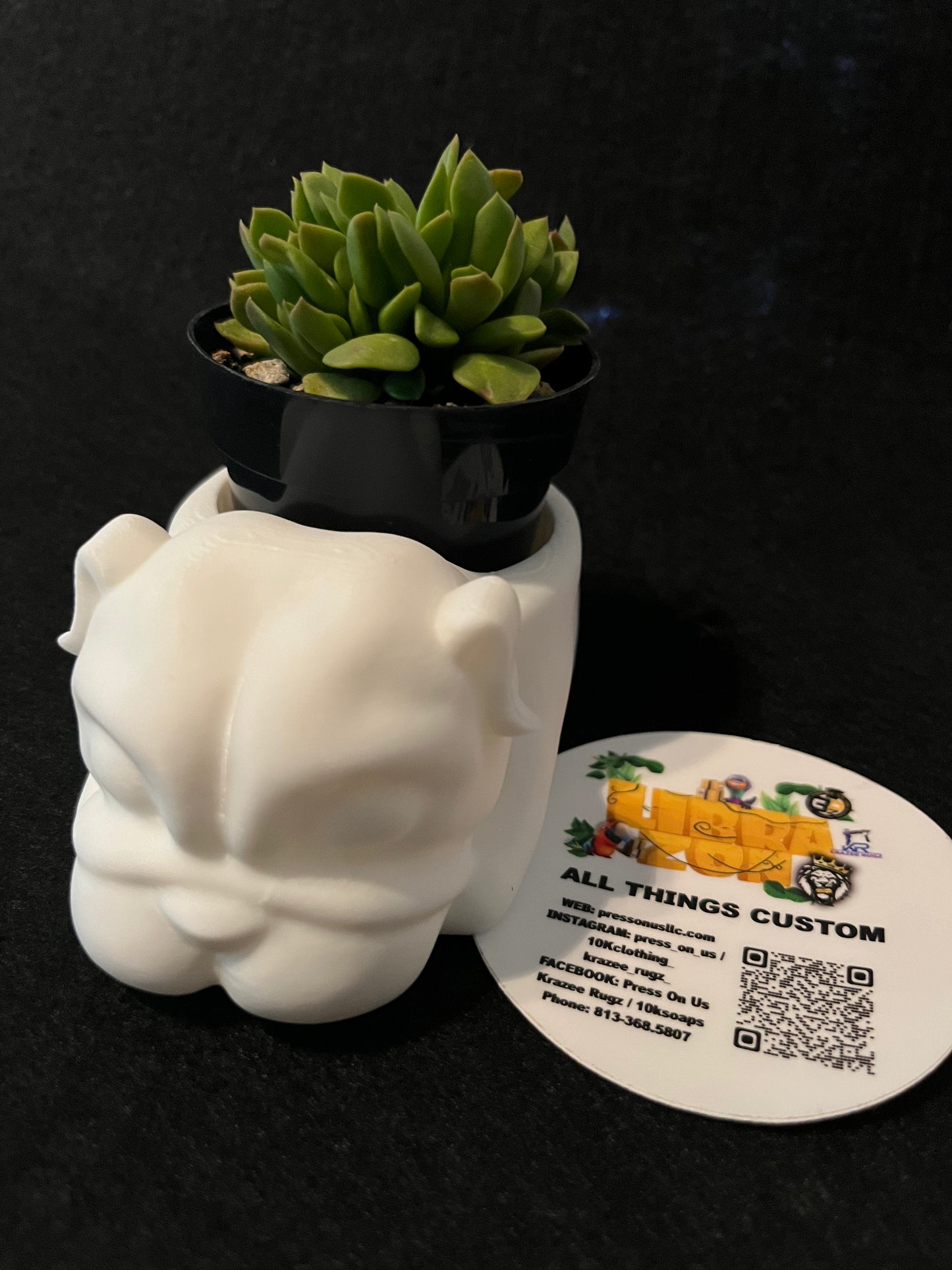 3D Mini Plant Paint Kits | Press On Us, LLC